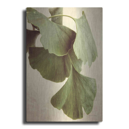 Luxe Metal Art 'Gingko Color' by Debra Van Swearingen, Metal Wall Art