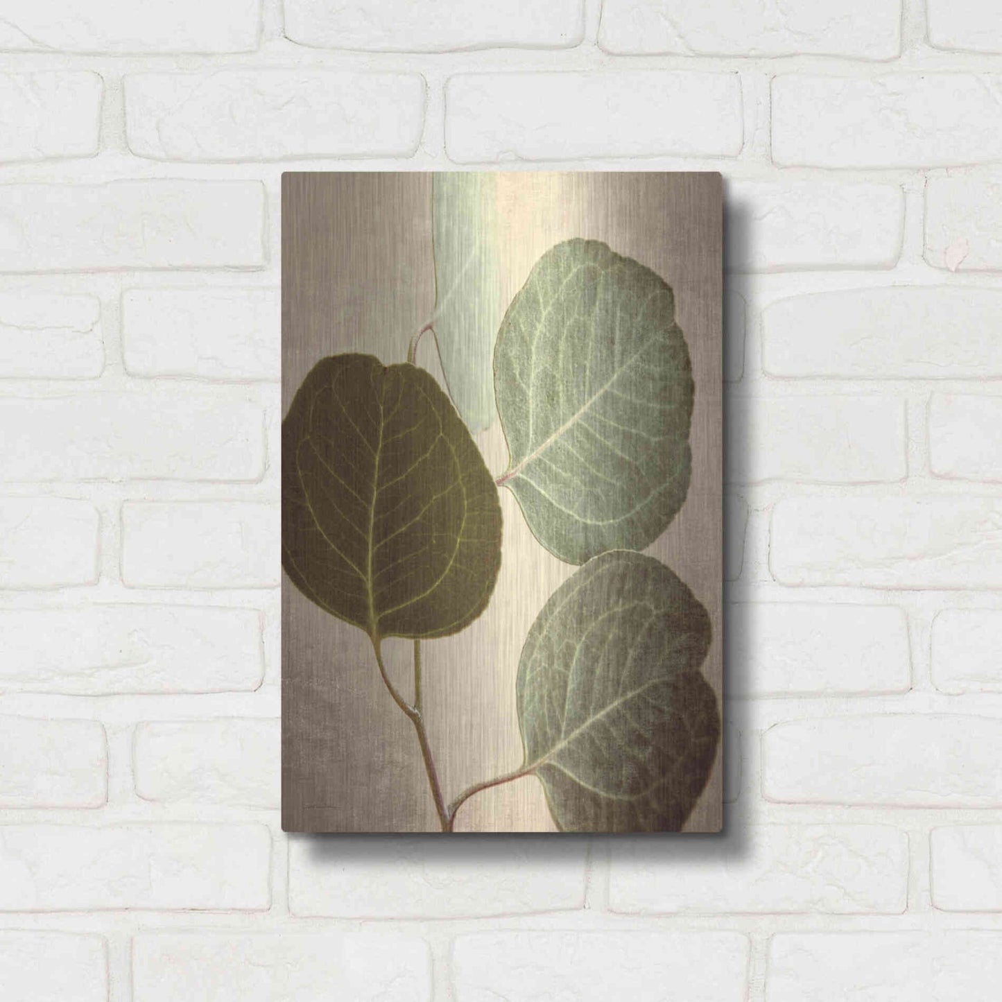 Luxe Metal Art 'Eucalyptus Color' by Debra Van Swearingen, Metal Wall Art,12x16