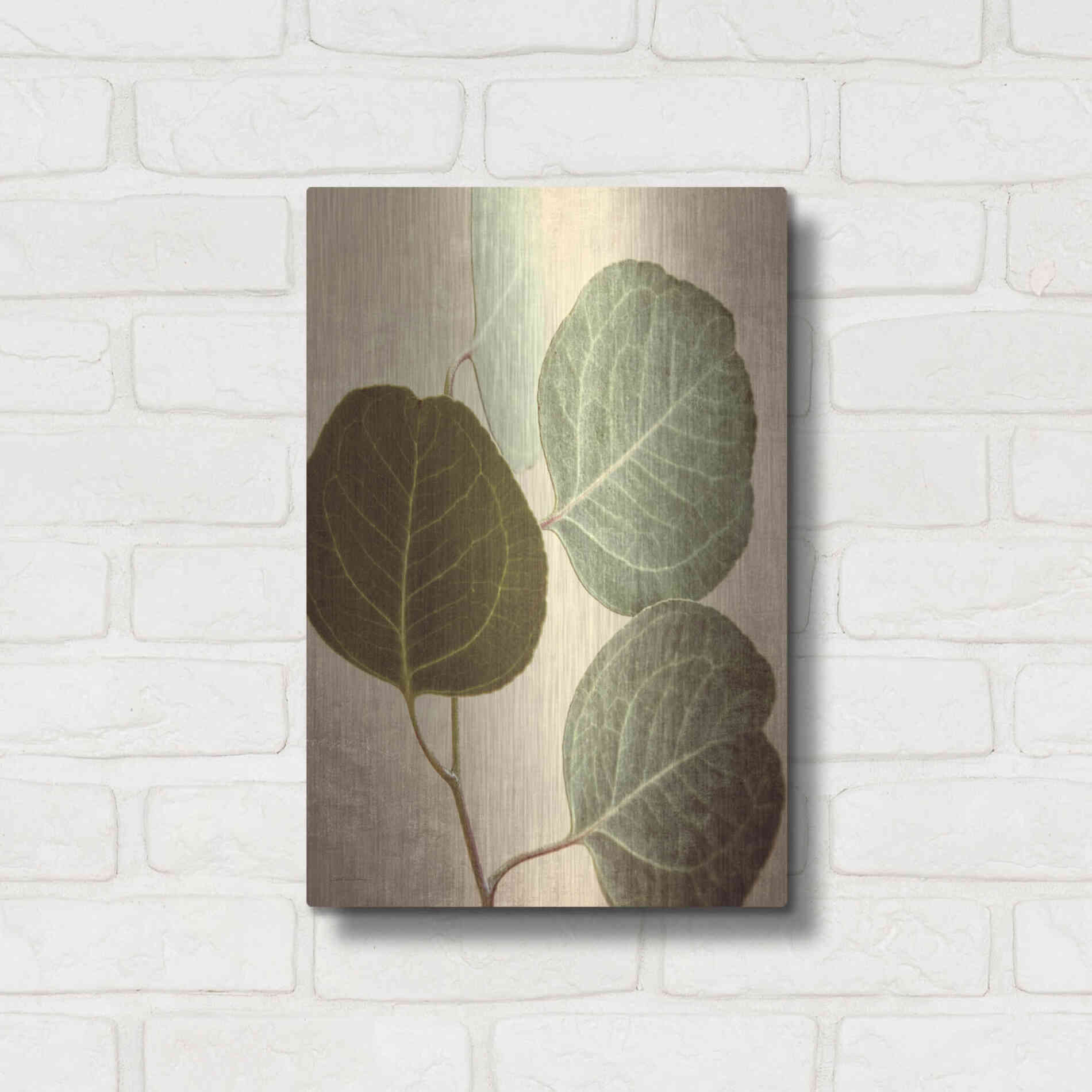 Luxe Metal Art 'Eucalyptus Color' by Debra Van Swearingen, Metal Wall Art,12x16