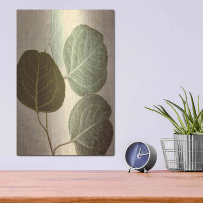 Luxe Metal Art 'Eucalyptus Color' by Debra Van Swearingen, Metal Wall Art,12x16