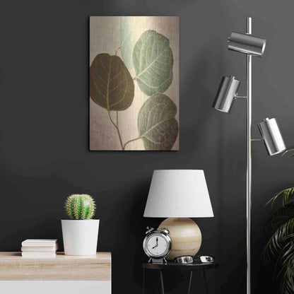 Luxe Metal Art 'Eucalyptus Color' by Debra Van Swearingen, Metal Wall Art,16x24