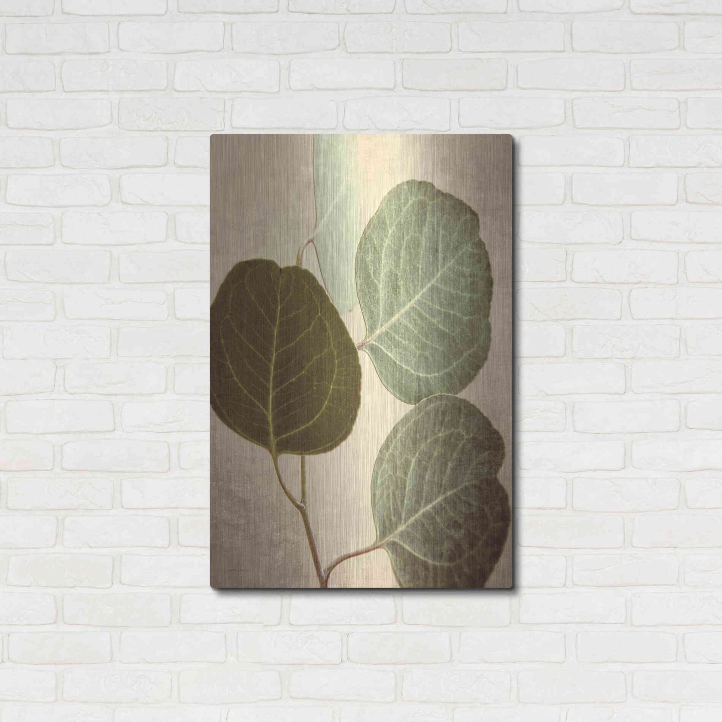 Luxe Metal Art 'Eucalyptus Color' by Debra Van Swearingen, Metal Wall Art,24x36