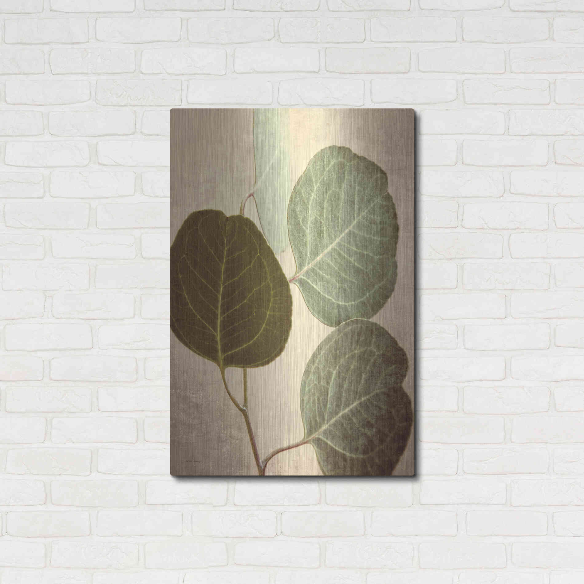 Luxe Metal Art 'Eucalyptus Color' by Debra Van Swearingen, Metal Wall Art,24x36