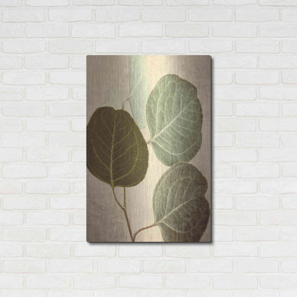 Luxe Metal Art 'Eucalyptus Color' by Debra Van Swearingen, Metal Wall Art,24x36