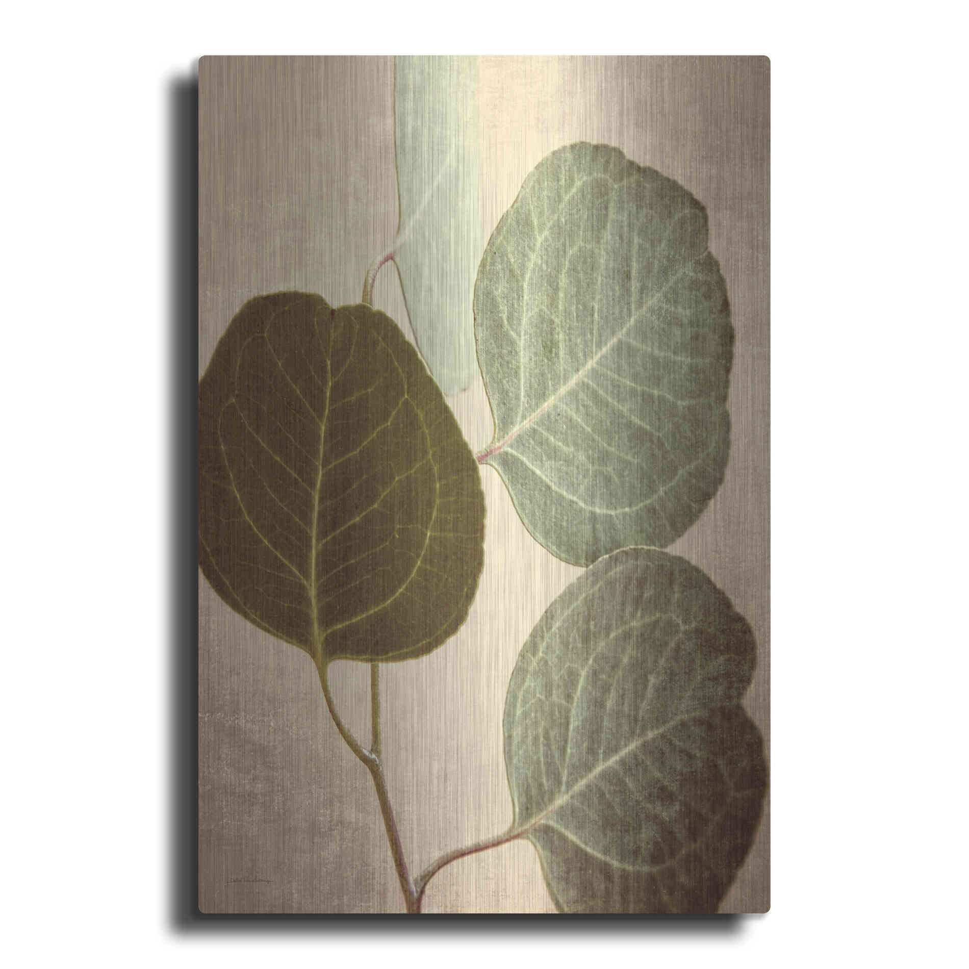 Luxe Metal Art 'Eucalyptus Color' by Debra Van Swearingen, Metal Wall Art