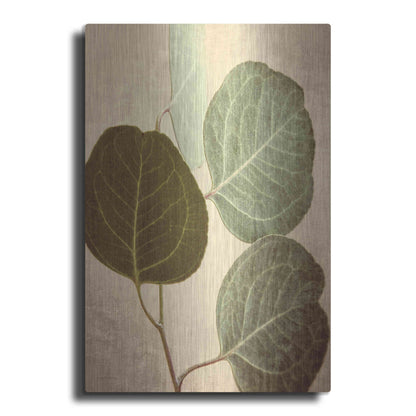 Luxe Metal Art 'Eucalyptus Color' by Debra Van Swearingen, Metal Wall Art