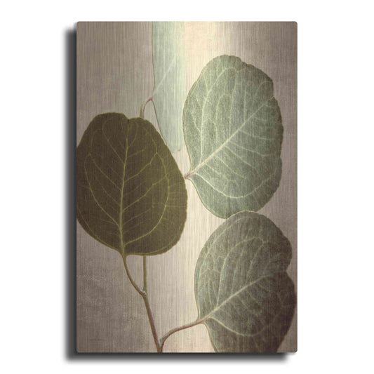 Luxe Metal Art 'Eucalyptus Color' by Debra Van Swearingen, Metal Wall Art
