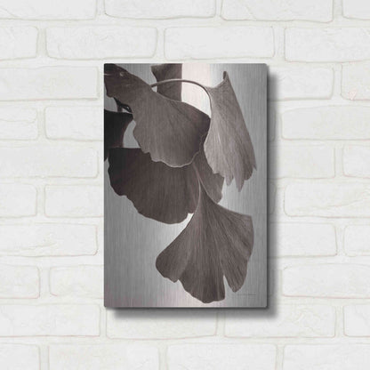 Luxe Metal Art 'Gingko Sepia' by Debra Van Swearingen, Metal Wall Art,12x16