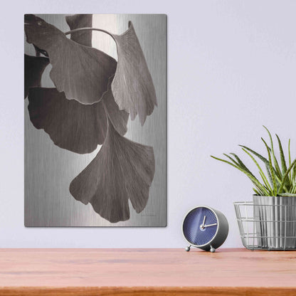 Luxe Metal Art 'Gingko Sepia' by Debra Van Swearingen, Metal Wall Art,12x16