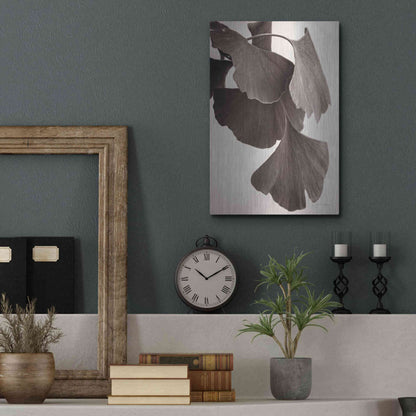 Luxe Metal Art 'Gingko Sepia' by Debra Van Swearingen, Metal Wall Art,12x16