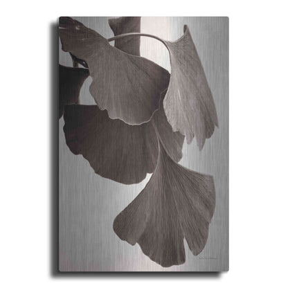 Luxe Metal Art 'Gingko Sepia' by Debra Van Swearingen, Metal Wall Art