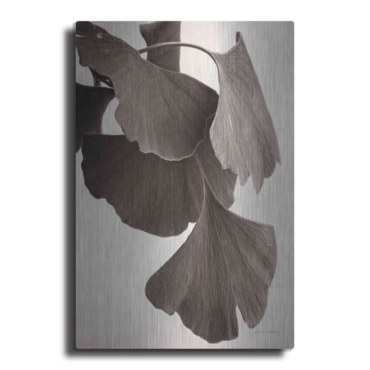 Luxe Metal Art 'Gingko Sepia' by Debra Van Swearingen, Metal Wall Art