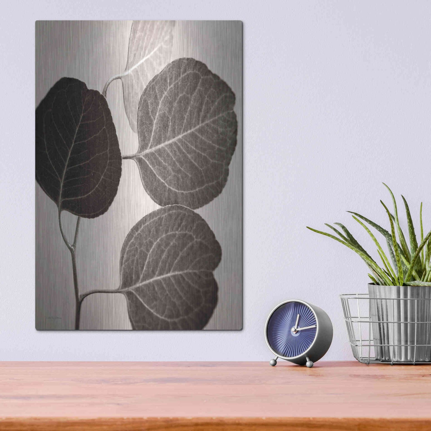Luxe Metal Art 'Eucalyptus Sepia' by Debra Van Swearingen, Metal Wall Art,12x16