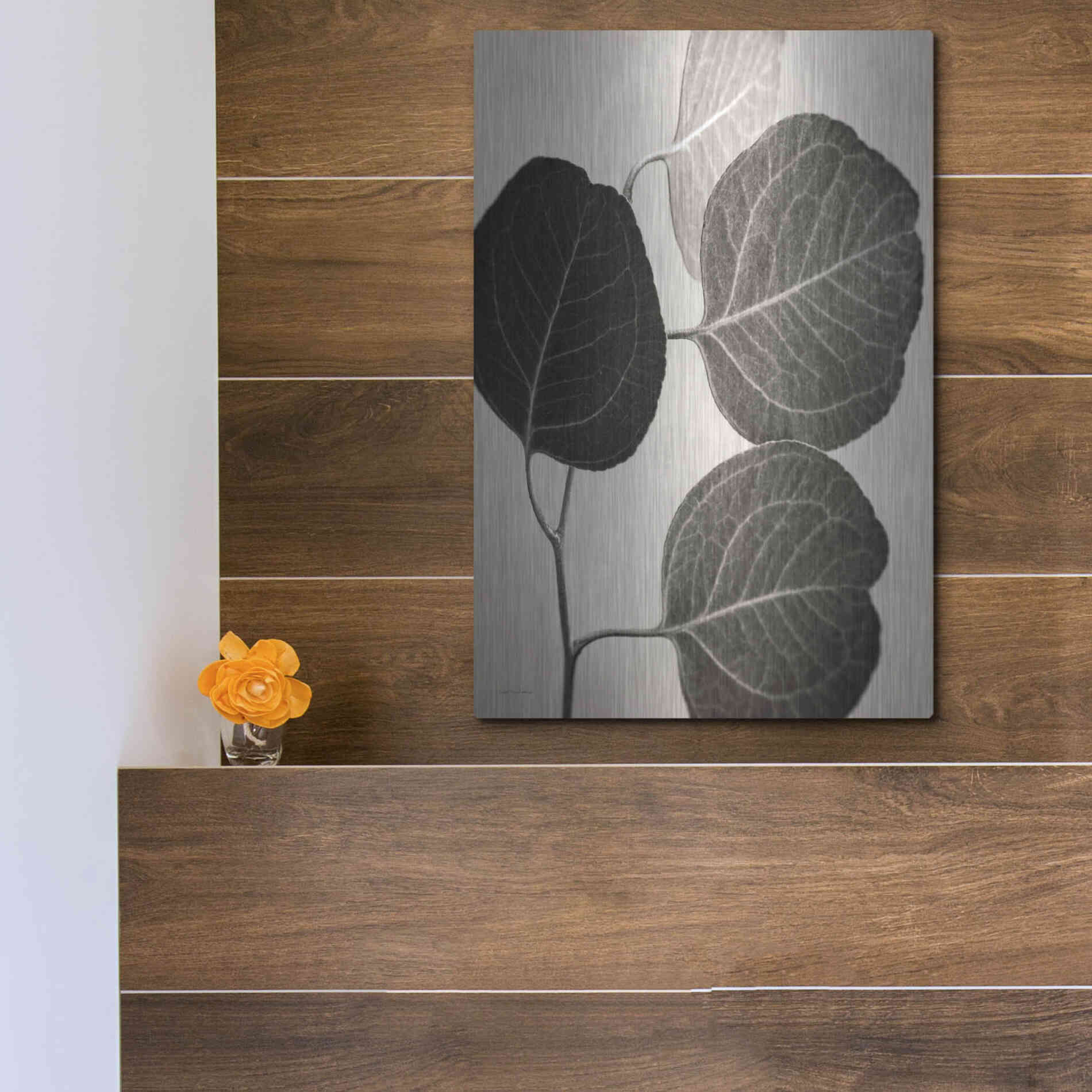 Luxe Metal Art 'Eucalyptus Sepia' by Debra Van Swearingen, Metal Wall Art,12x16