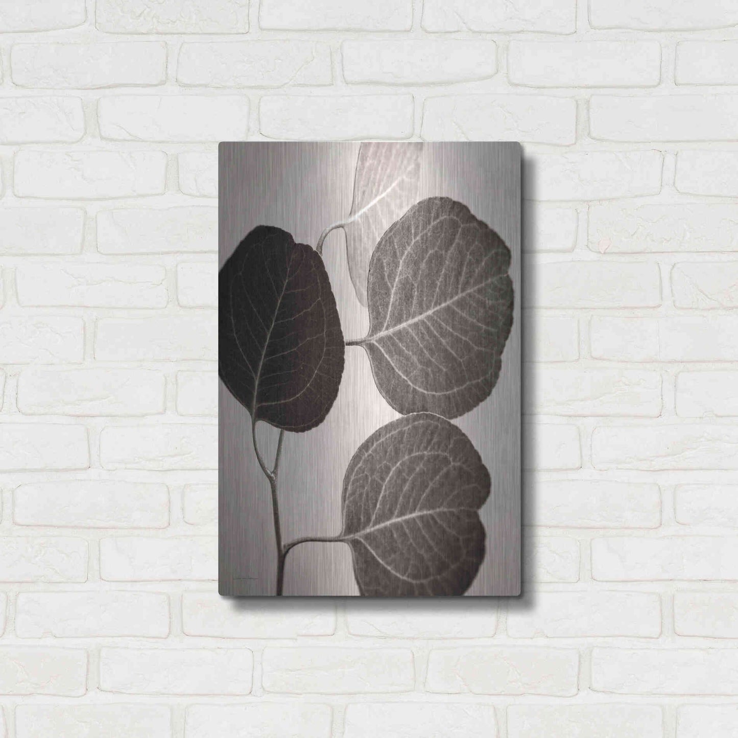 Luxe Metal Art 'Eucalyptus Sepia' by Debra Van Swearingen, Metal Wall Art,16x24