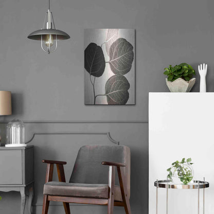 Luxe Metal Art 'Eucalyptus Sepia' by Debra Van Swearingen, Metal Wall Art,16x24