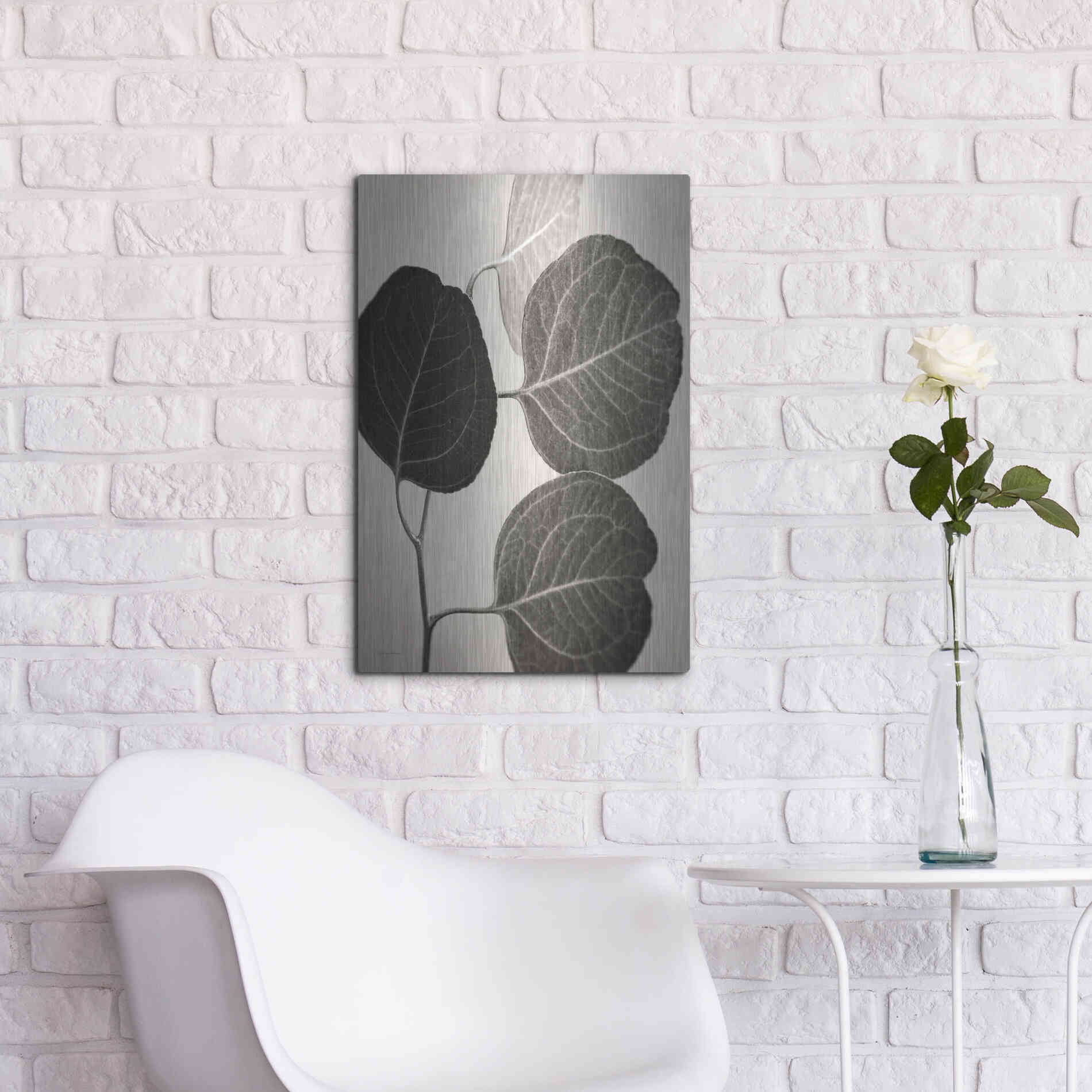 Luxe Metal Art 'Eucalyptus Sepia' by Debra Van Swearingen, Metal Wall Art,16x24