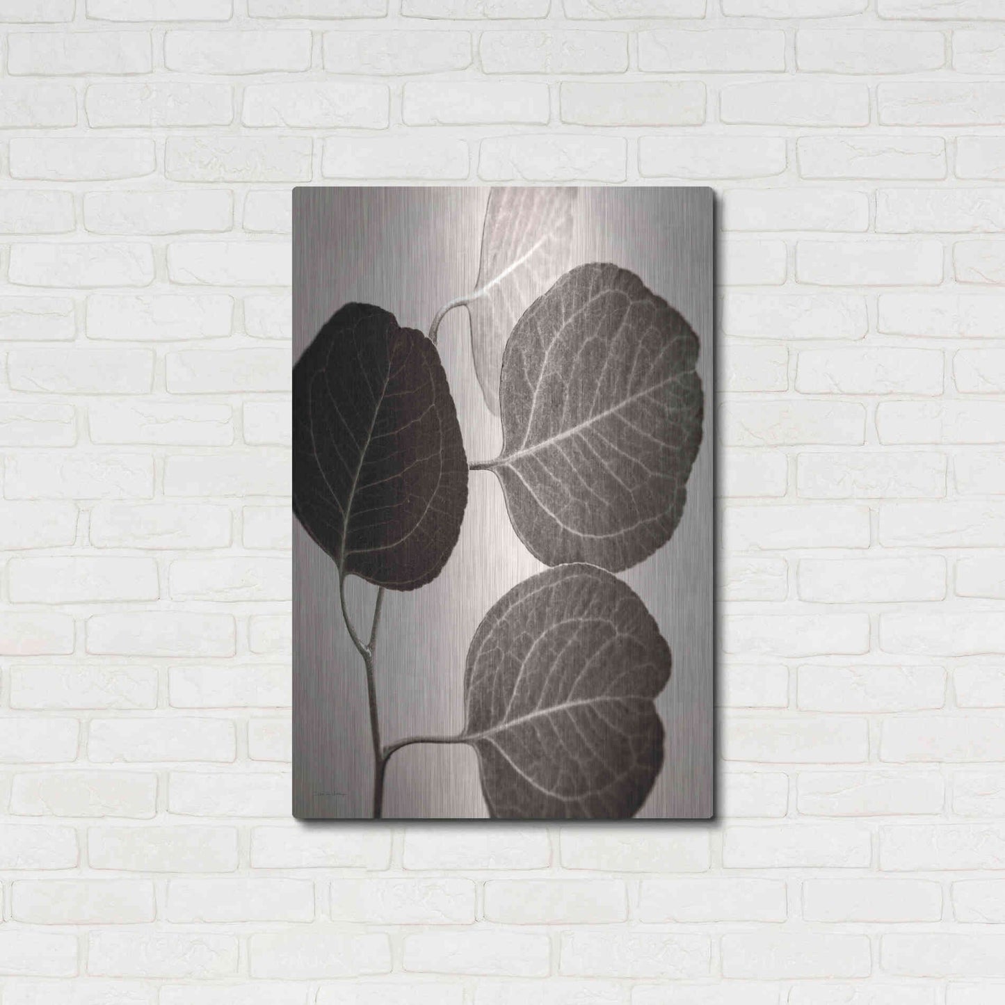 Luxe Metal Art 'Eucalyptus Sepia' by Debra Van Swearingen, Metal Wall Art,24x36