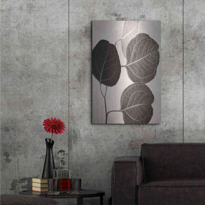 Luxe Metal Art 'Eucalyptus Sepia' by Debra Van Swearingen, Metal Wall Art,24x36