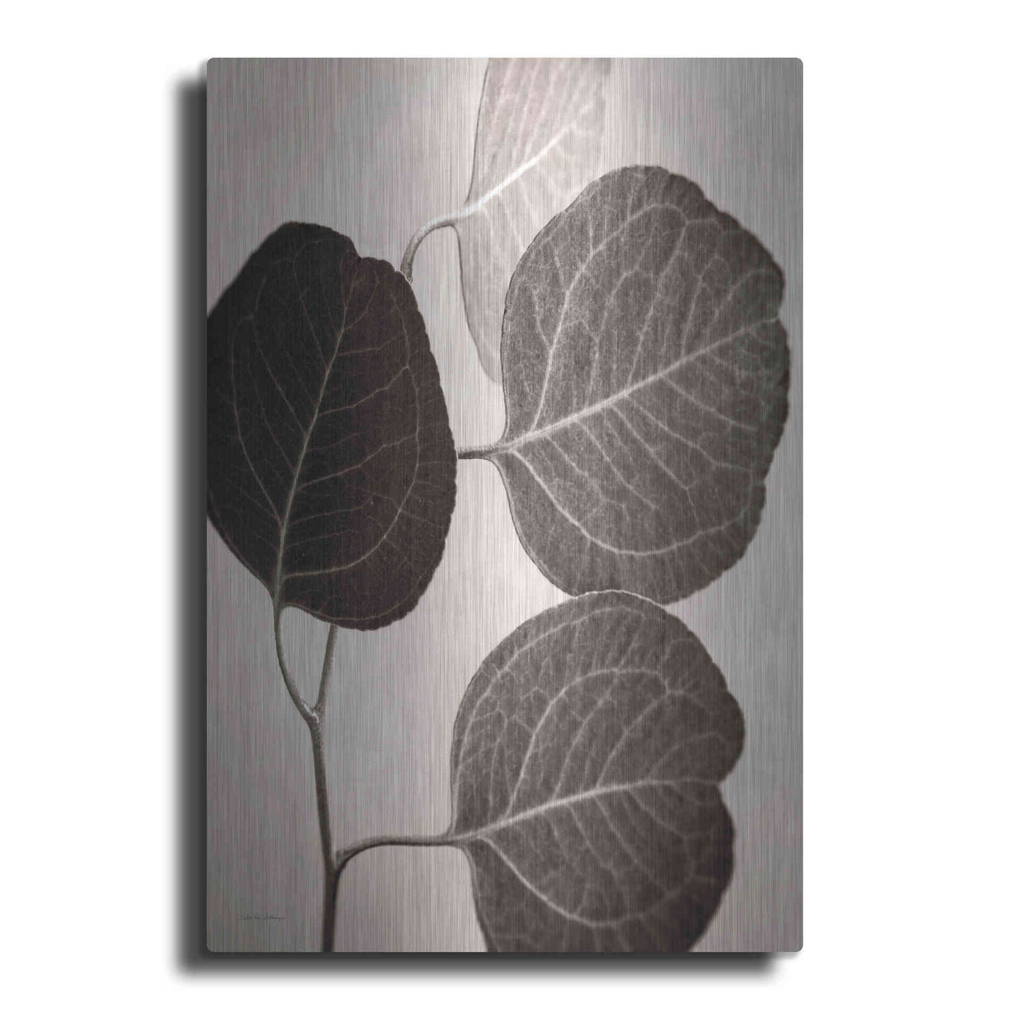 Luxe Metal Art 'Eucalyptus Sepia' by Debra Van Swearingen, Metal Wall Art