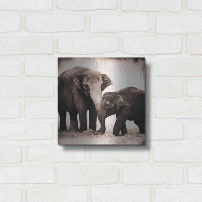 Luxe Metal Art 'Elephant III Sepia' by Debra Van Swearingen, Metal Wall Art,12x12