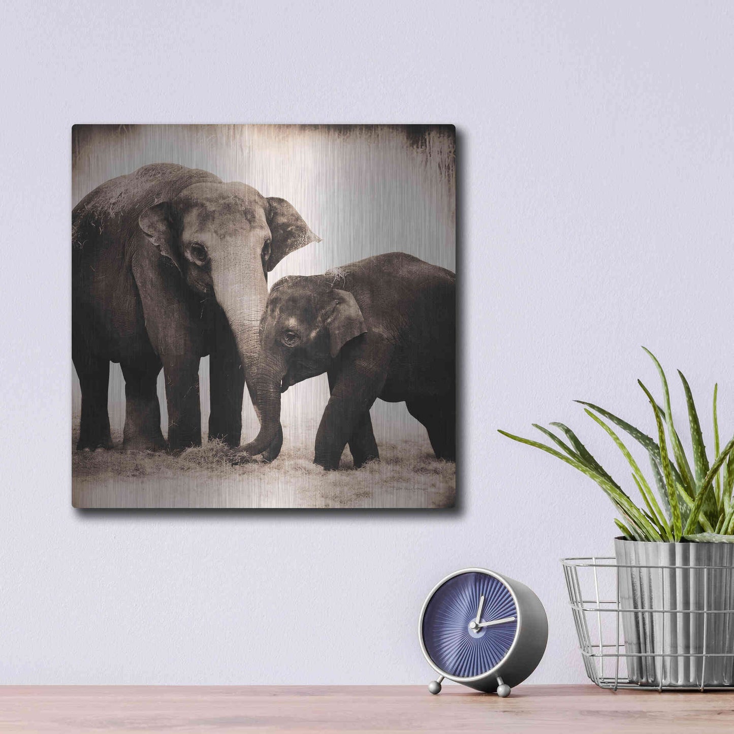 Luxe Metal Art 'Elephant III Sepia' by Debra Van Swearingen, Metal Wall Art,12x12