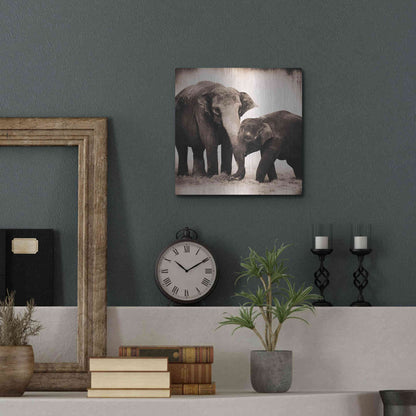 Luxe Metal Art 'Elephant III Sepia' by Debra Van Swearingen, Metal Wall Art,12x12