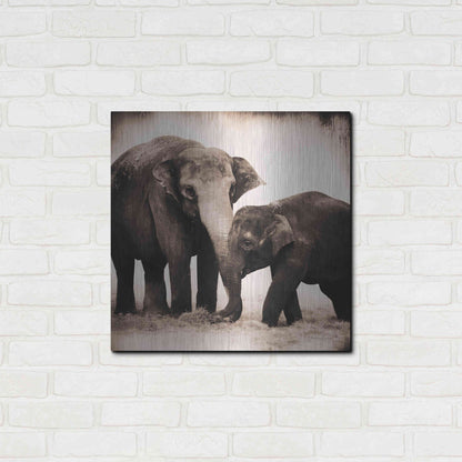 Luxe Metal Art 'Elephant III Sepia' by Debra Van Swearingen, Metal Wall Art,24x24