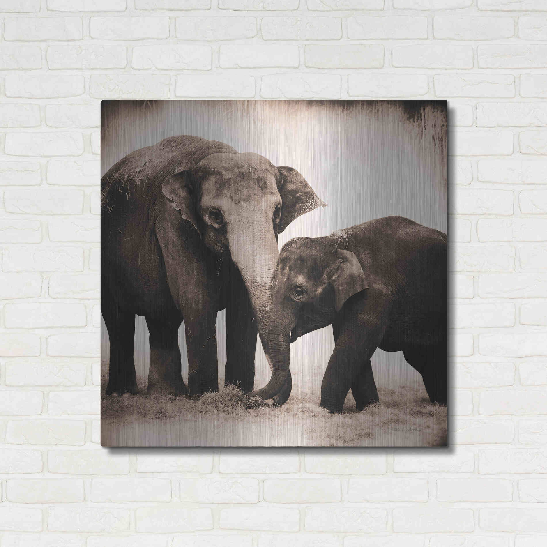 Luxe Metal Art 'Elephant III Sepia' by Debra Van Swearingen, Metal Wall Art,36x36