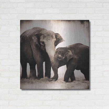 Luxe Metal Art 'Elephant III Sepia' by Debra Van Swearingen, Metal Wall Art,36x36