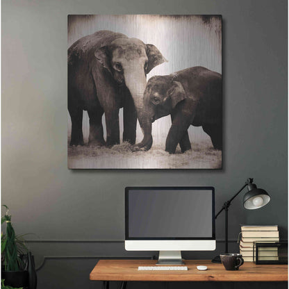 Luxe Metal Art 'Elephant III Sepia' by Debra Van Swearingen, Metal Wall Art,36x36