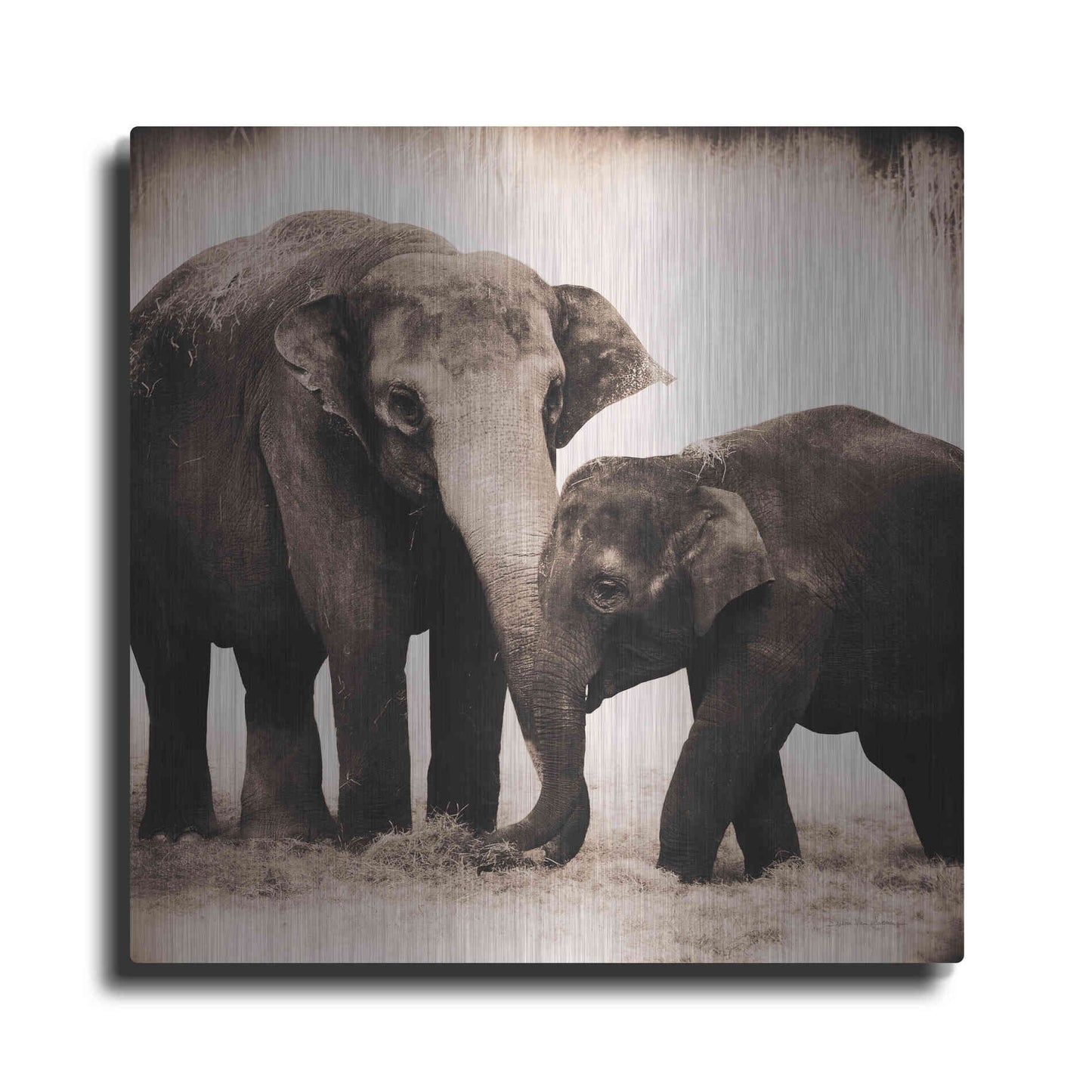 Luxe Metal Art 'Elephant III Sepia' by Debra Van Swearingen, Metal Wall Art