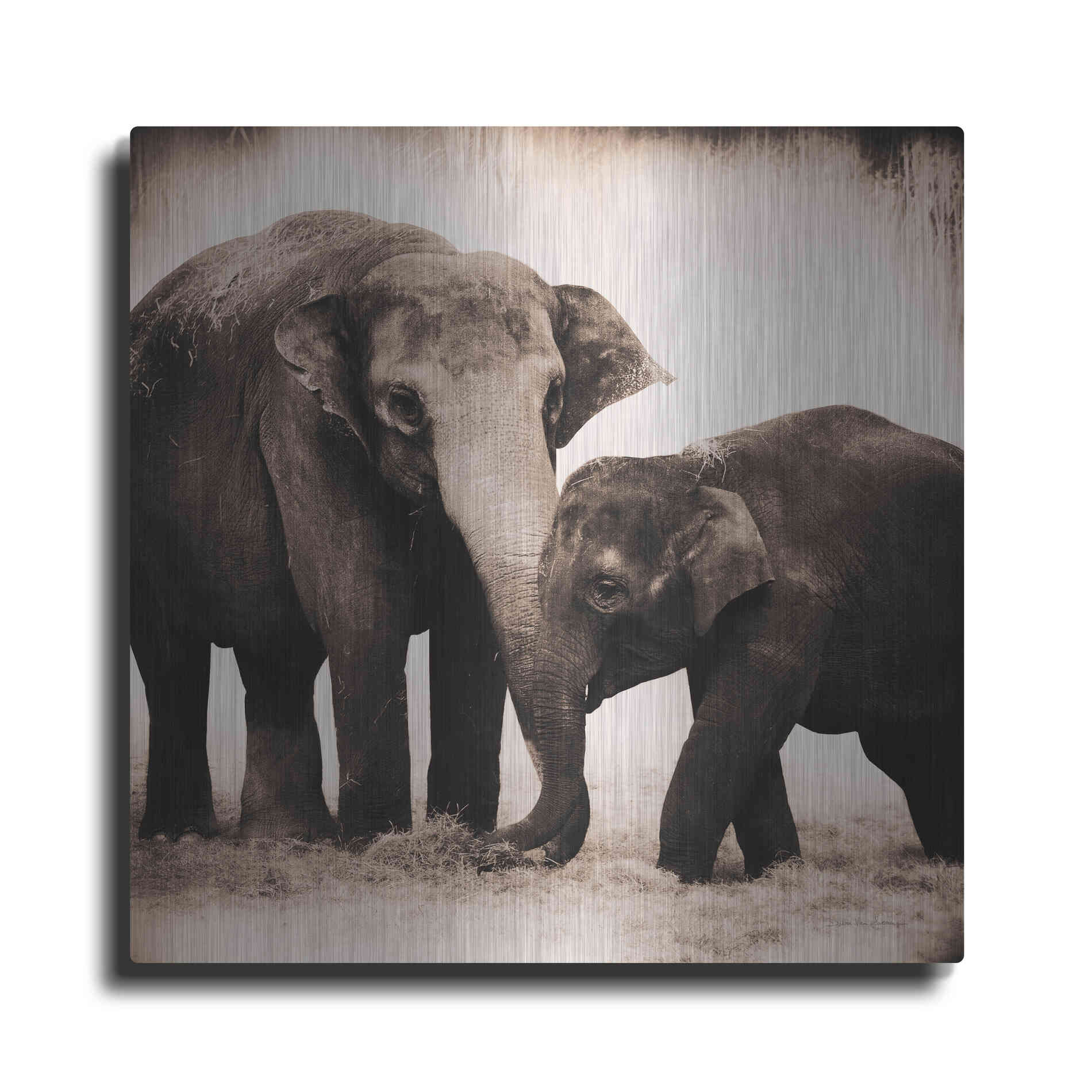 Luxe Metal Art 'Elephant III Sepia' by Debra Van Swearingen, Metal Wall Art