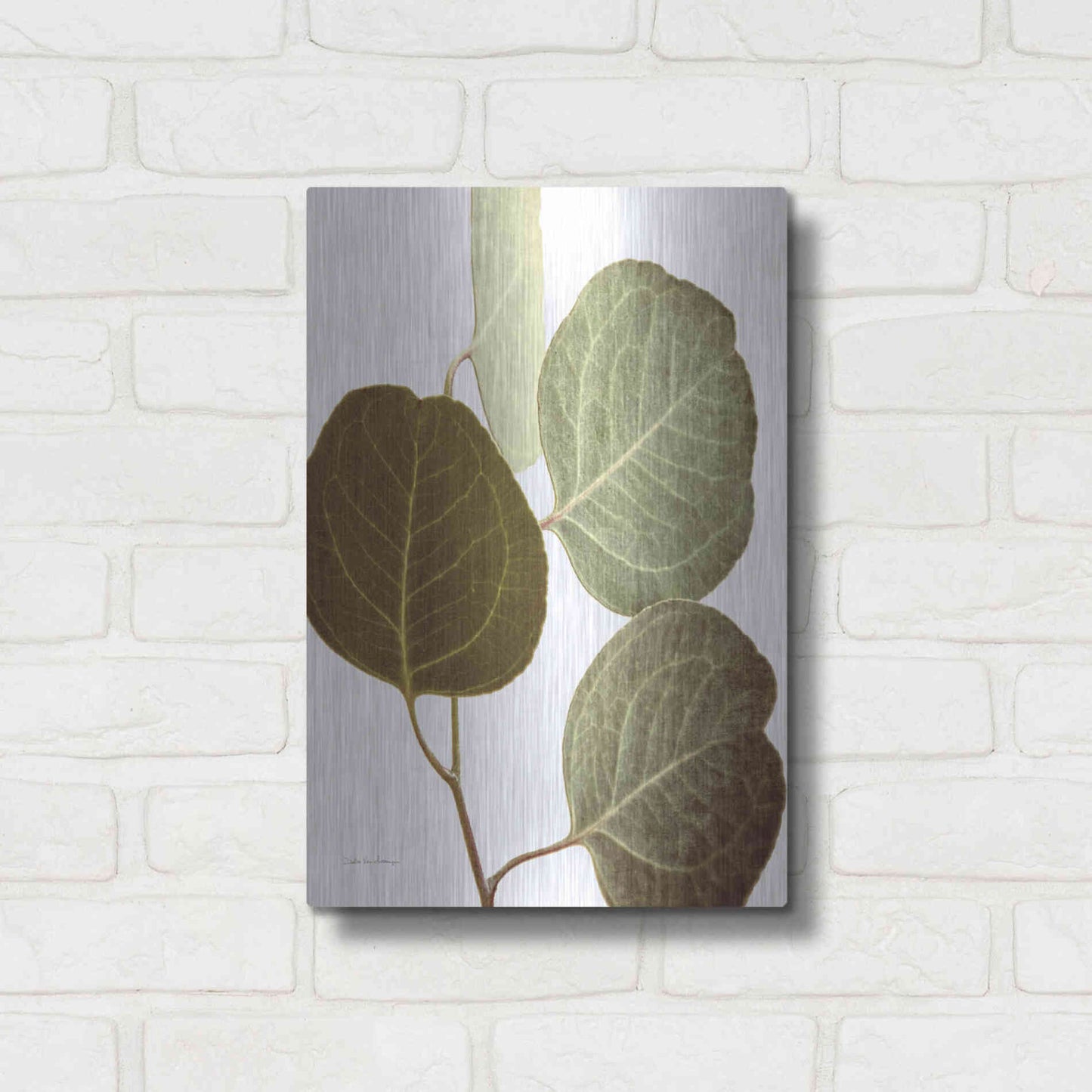 Luxe Metal Art 'Eucalyptus Color on White' by Debra Van Swearingen, Metal Wall Art,12x16