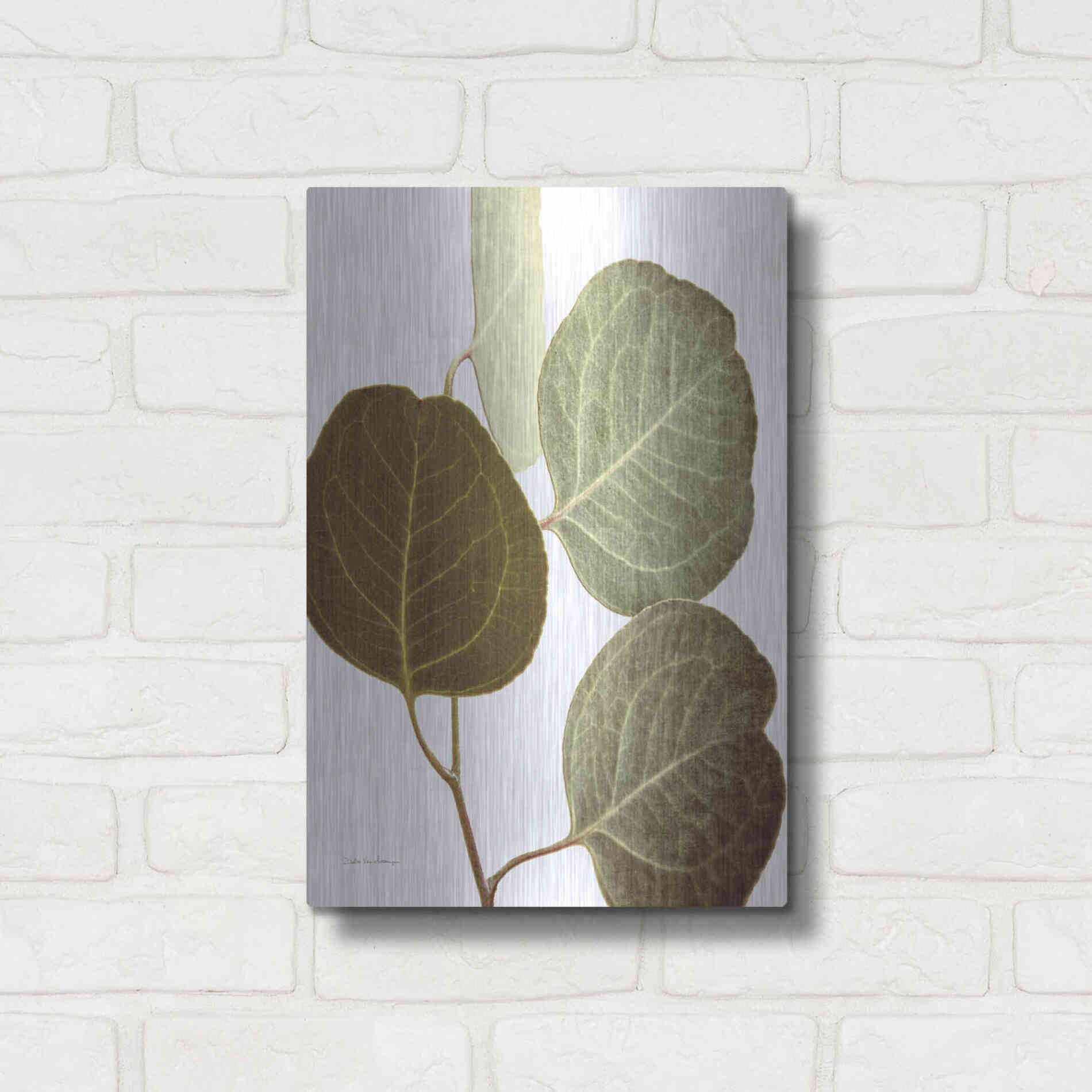 Luxe Metal Art 'Eucalyptus Color on White' by Debra Van Swearingen, Metal Wall Art,12x16