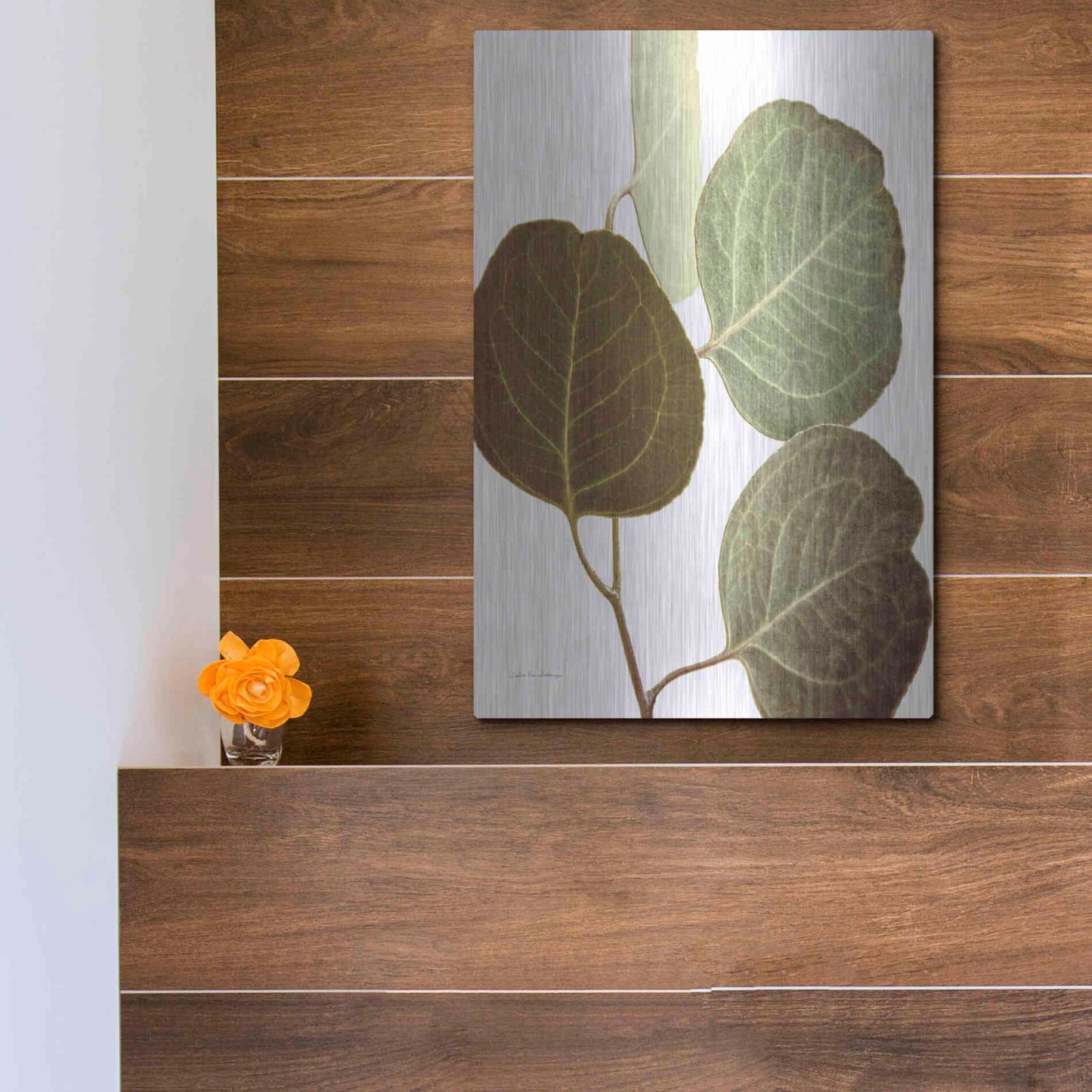 Luxe Metal Art 'Eucalyptus Color on White' by Debra Van Swearingen, Metal Wall Art,12x16