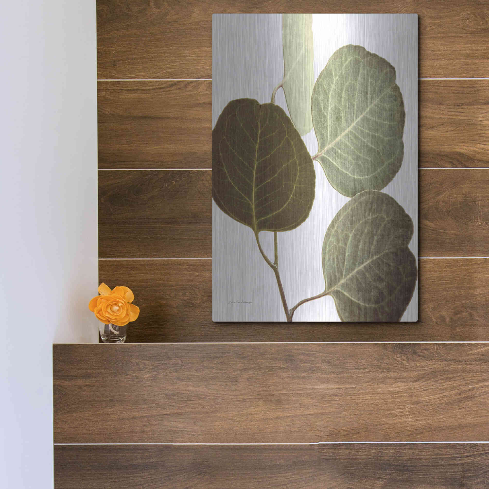 Luxe Metal Art 'Eucalyptus Color on White' by Debra Van Swearingen, Metal Wall Art,12x16