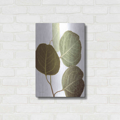 Luxe Metal Art 'Eucalyptus Color on White' by Debra Van Swearingen, Metal Wall Art,16x24