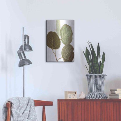 Luxe Metal Art 'Eucalyptus Color on White' by Debra Van Swearingen, Metal Wall Art,16x24