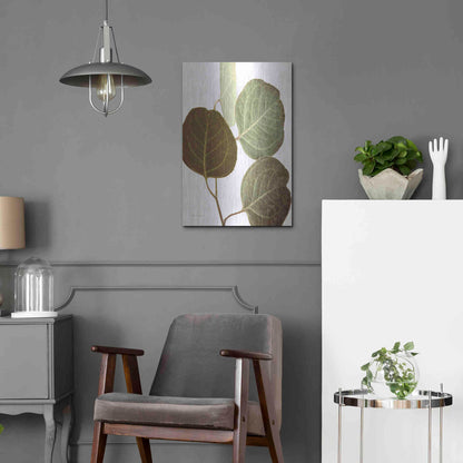 Luxe Metal Art 'Eucalyptus Color on White' by Debra Van Swearingen, Metal Wall Art,16x24