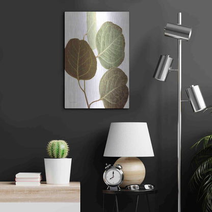 Luxe Metal Art 'Eucalyptus Color on White' by Debra Van Swearingen, Metal Wall Art,16x24