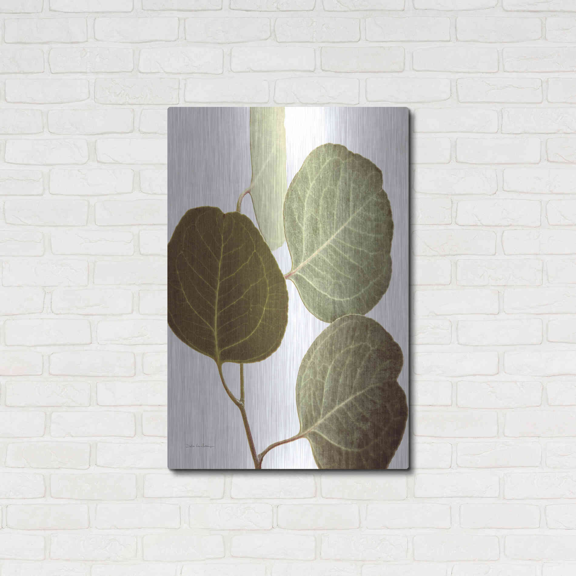 Luxe Metal Art 'Eucalyptus Color on White' by Debra Van Swearingen, Metal Wall Art,24x36