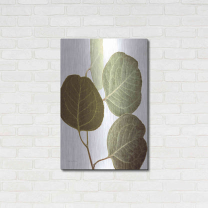 Luxe Metal Art 'Eucalyptus Color on White' by Debra Van Swearingen, Metal Wall Art,24x36