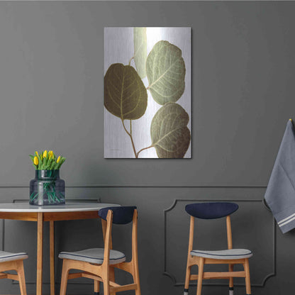 Luxe Metal Art 'Eucalyptus Color on White' by Debra Van Swearingen, Metal Wall Art,24x36