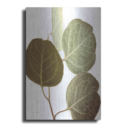 Luxe Metal Art 'Eucalyptus Color on White' by Debra Van Swearingen, Metal Wall Art
