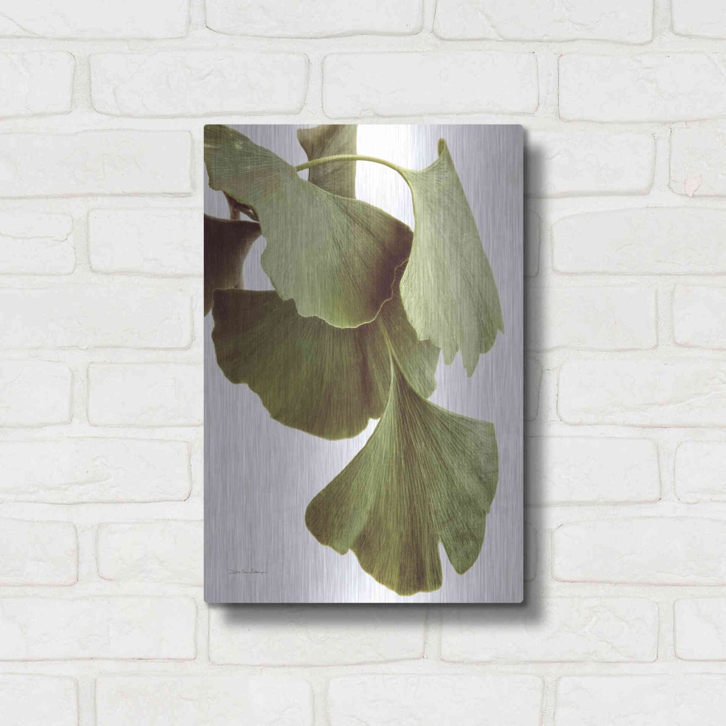 Luxe Metal Art 'Ginko Color on White' by Debra Van Swearingen, Metal Wall Art,12x16