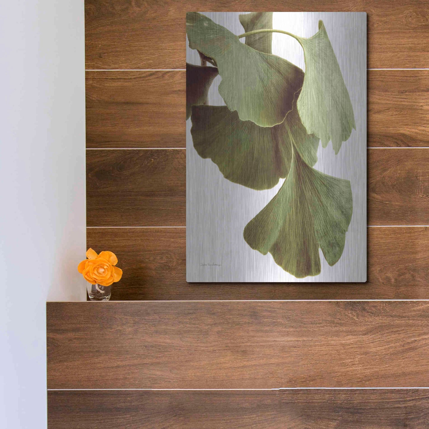 Luxe Metal Art 'Ginko Color on White' by Debra Van Swearingen, Metal Wall Art,12x16