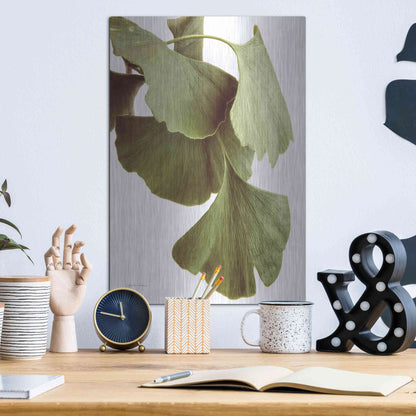 Luxe Metal Art 'Ginko Color on White' by Debra Van Swearingen, Metal Wall Art,12x16
