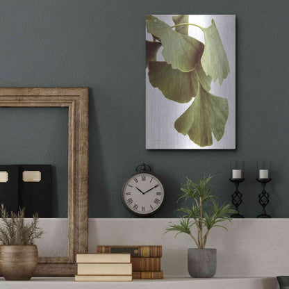Luxe Metal Art 'Ginko Color on White' by Debra Van Swearingen, Metal Wall Art,12x16