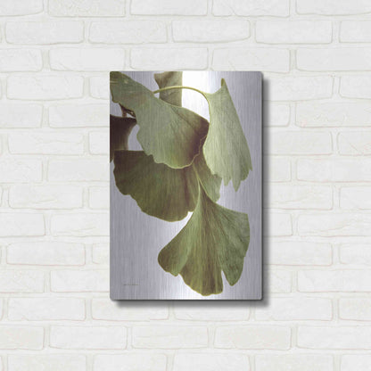 Luxe Metal Art 'Ginko Color on White' by Debra Van Swearingen, Metal Wall Art,16x24
